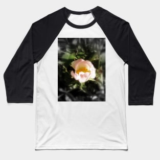 old-fashioned roses by Fox Creek & Columbia River 13 Baseball T-Shirt